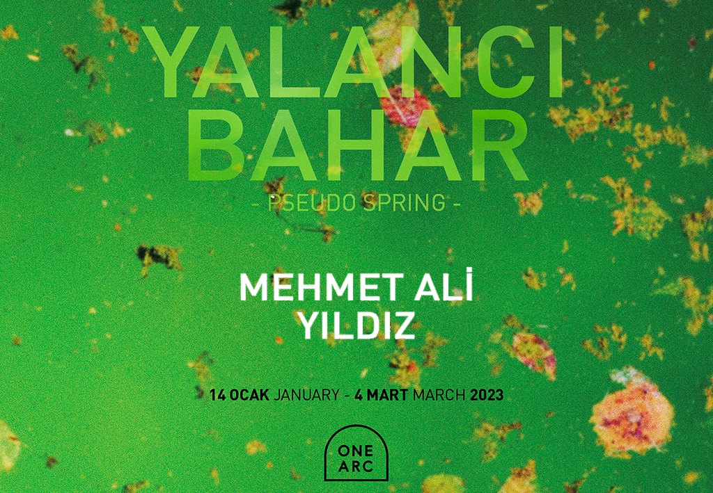 YALANCI BAHAR  YALANCI BAHAR 